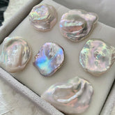 【New】Aurora Petal (1 Petal in 1 Clam)(Price for 2 Clam)