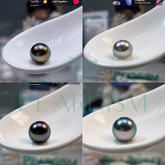 Black Tahitian Oyster (Top Tier Deep Ocean Black Pearl 8-12 mm)