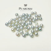 【New】Queen Akoya (1 Akoya Pearl in 1 Oyster 7.5-9 mm)