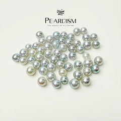 【New】Akoya (1 Akoya Pearl in 1 Oyster 5-6mm)
