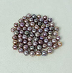 【New】Chocolate Edison (1 Deep color Pearl in 1 clam 10-13mm)