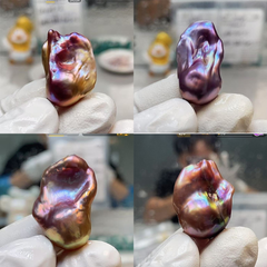 【New】Flame King (1 King in 1 Clam, may get extra Petal)