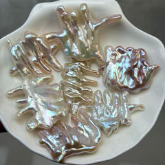 【New】 Dinosaur Fossil  (1 Pearl in 1 Clam)