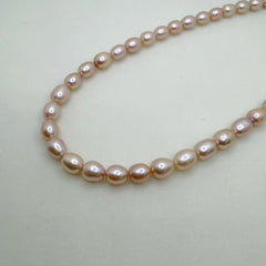 Champagne color Seedless Pearl Freshwater Seedless Pearl Necklace (6-8mm)-AFSN006