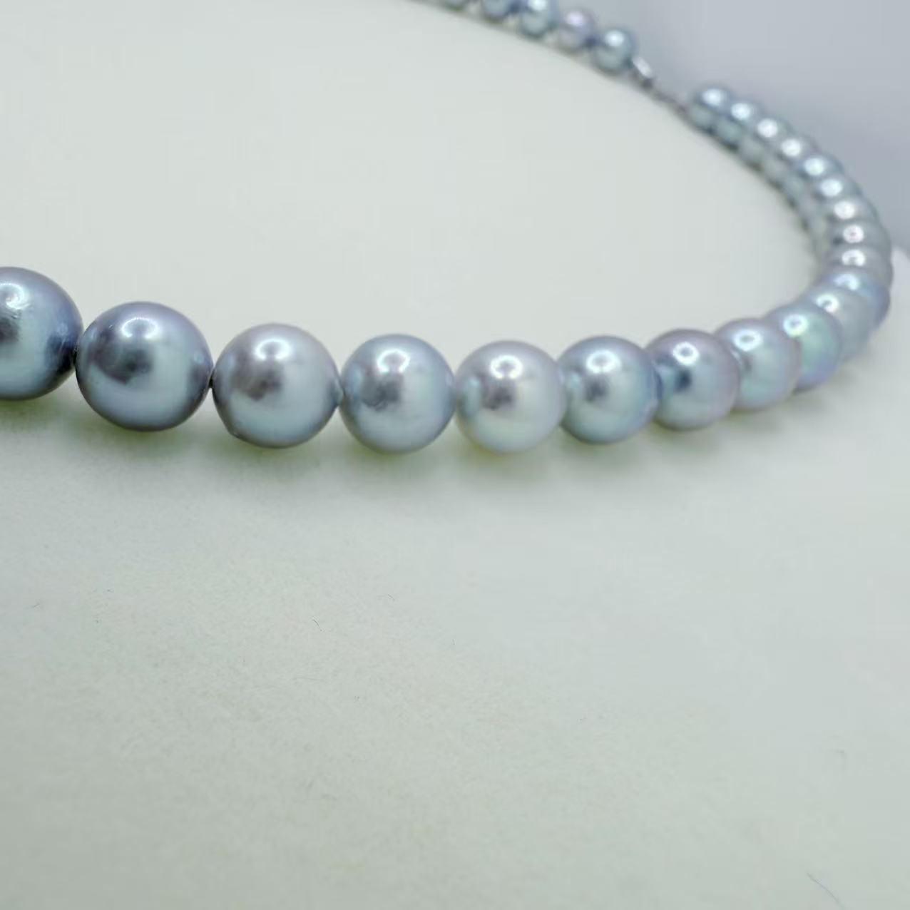 Madama Full Flawless String Necklace Seawater AKoya Pearl Akoya  (7.5-8mm)ASAN002