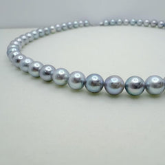 Madama Full Flawless String Necklace Seawater AKoya Pearl Akoya  (7.5-8mm)ASAN002