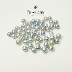 【New】Queen Akoya (1 Akoya Pearl in 1 Oyster 7.5-9 mm)