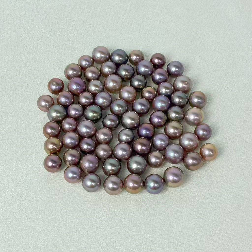 【New】Chocolate Edison (1 Deep color Pearl in 1 clam 10-13mm)